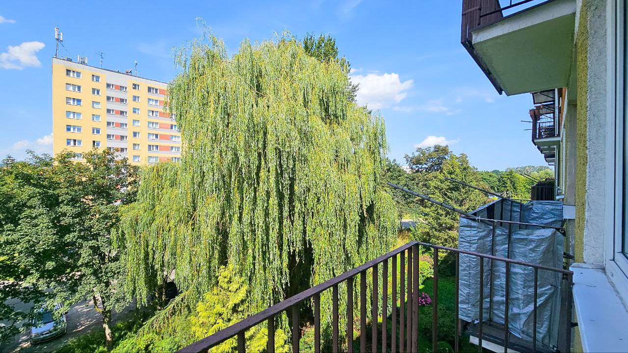 photo 29 2025 08 09 14 32 05