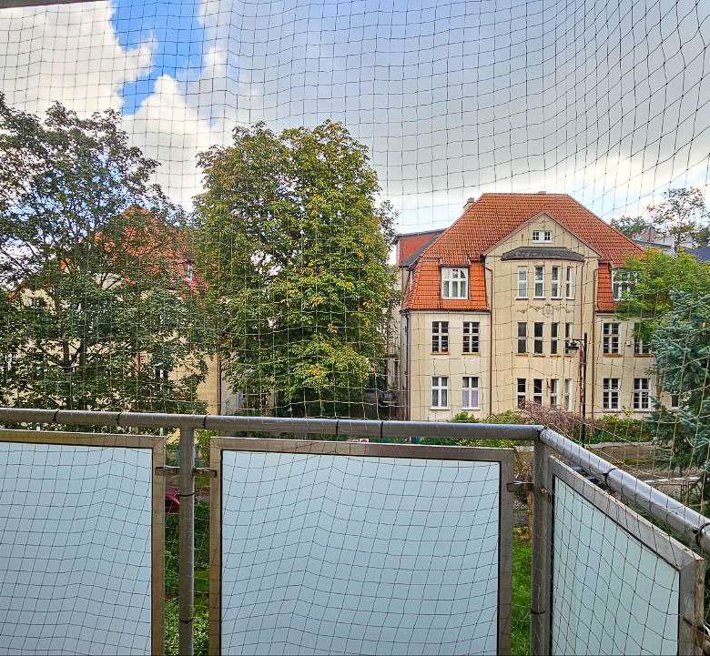 photo 18 2025 10 09 20 24 02