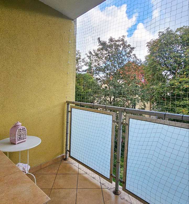 photo 19 2025 10 09 20 24 02