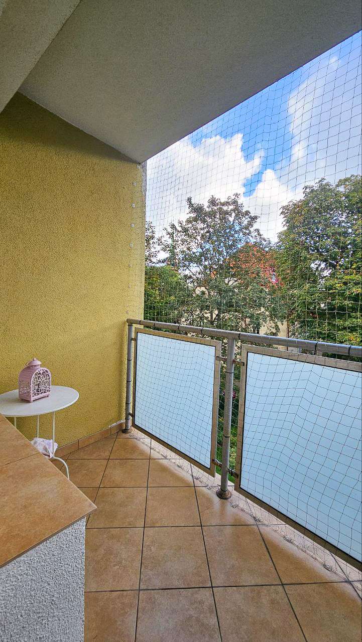 photo 19 2025 10 09 20 24 02